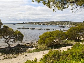 Seagulls Wrest Point - Tourism Adelaide